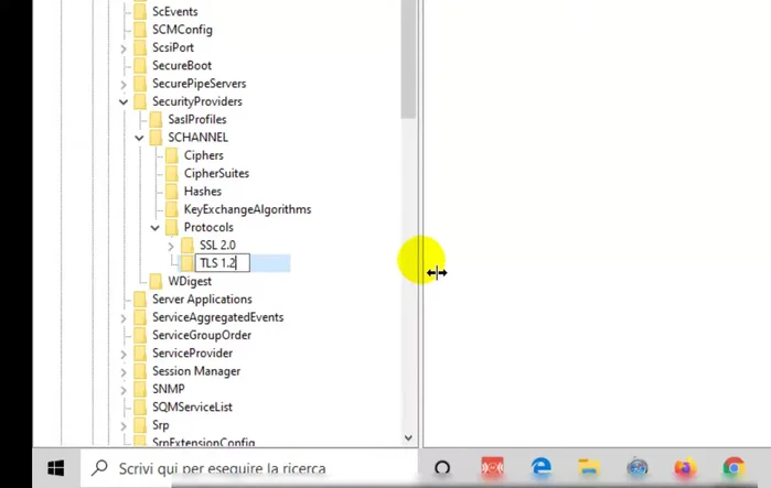 All'interno di `TLS 1.2`, creare una nuova chiave chiamata `Client`.