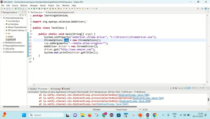 Eseguire nuovamente il codice Selenium.