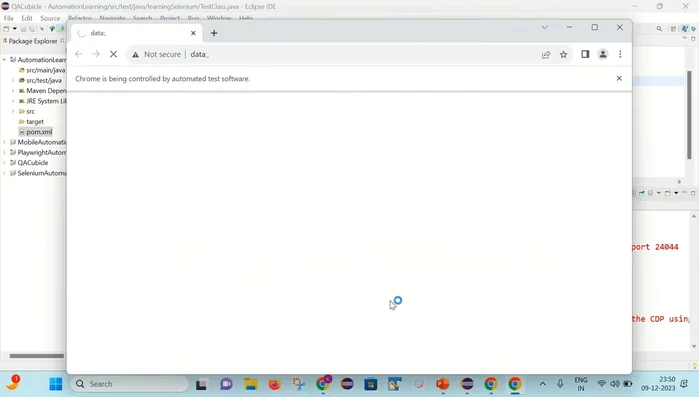 Eseguire nuovamente il codice Selenium.