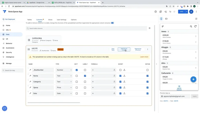 Crea colonne virtuali con formule per calcolare e visualizzare dati aggregati (es. spesa annuale, spesa mensile).