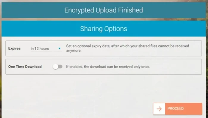 Scegliere il servizio Cloud (Drive, OneDrive, Dropbox).