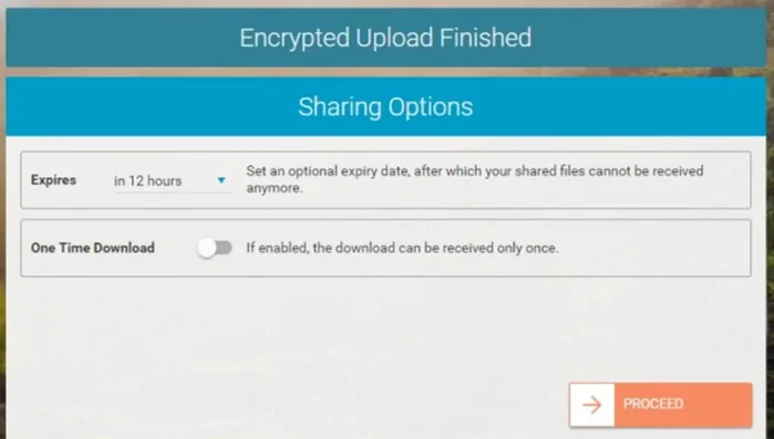 Autorizzare Wizzy ad accedere al servizio Cloud.