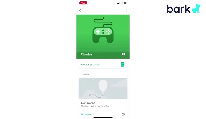Scorri verso il basso fino alla sezione "Attività app".