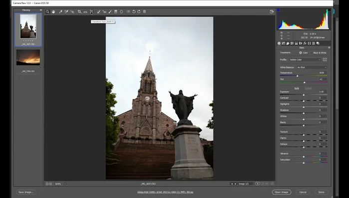 Aprire l'immagine in Adobe Camera Raw.