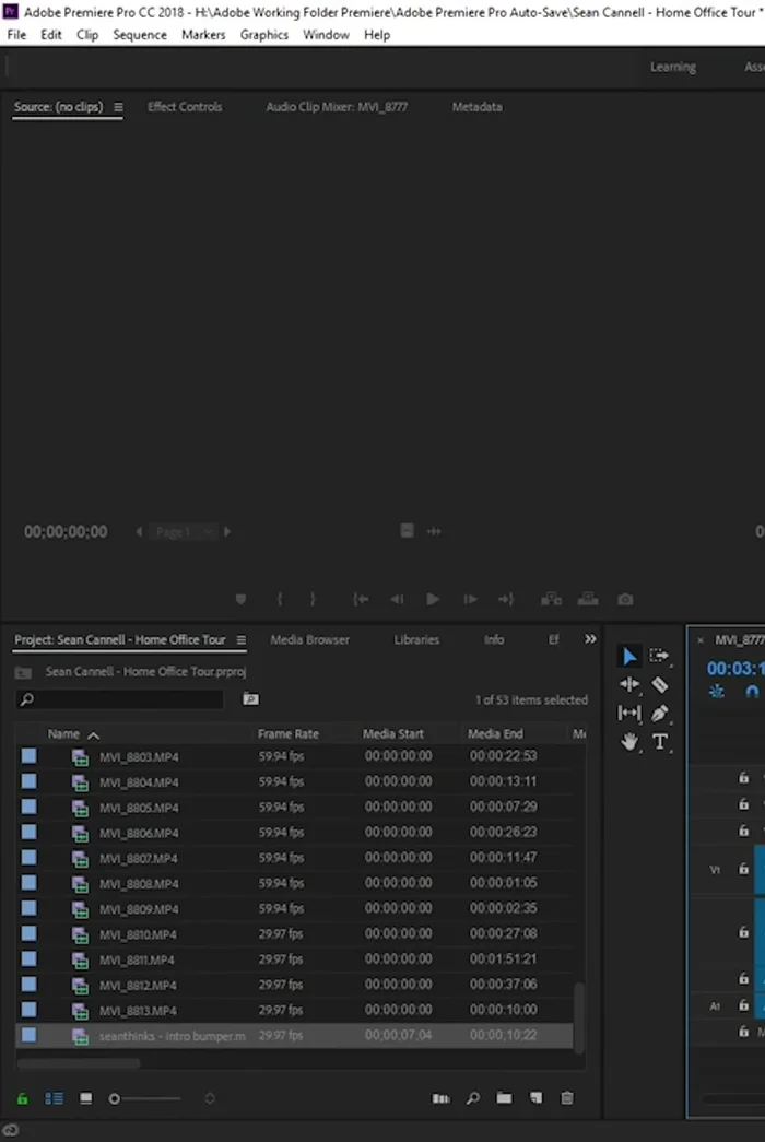 Regola il guadagno audio per bilanciare i livelli audio (es. ridurre il volume delle parti registrate vicino alla telecamera). Utilizza le forme d'onda come guida per il mixaggio audio.