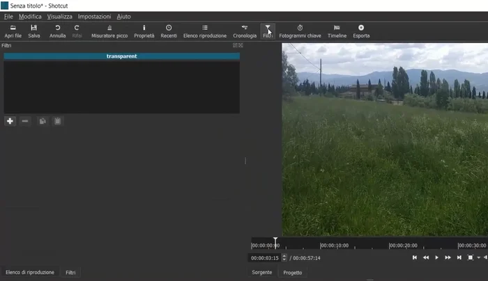 Scrivere il testo desiderato, personalizzare font, colore, dimensione e contorno.