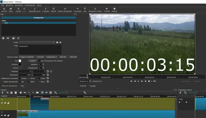 Scrivere il testo desiderato, personalizzare font, colore, dimensione e contorno.