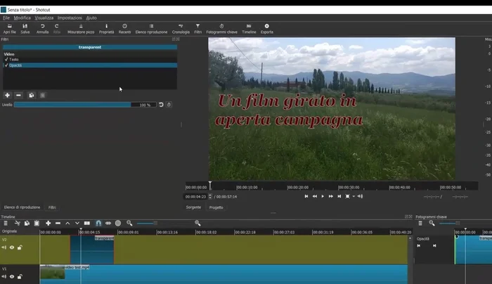 Regolare l'opacità del testo tramite il filtro 'Opacità' per ottenere la trasparenza desiderata.