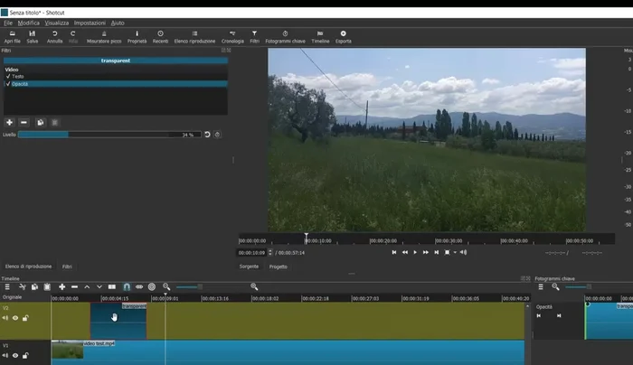 Copiare e incollare il livello del testo trasparente per aggiungere altri testi in diverse posizioni del video.