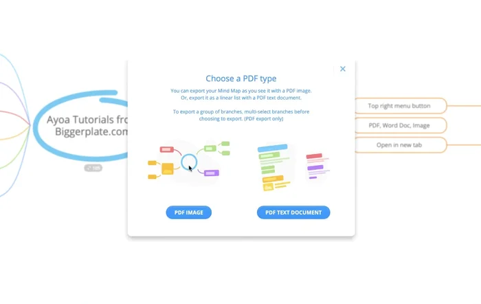 Se si sceglie PDF, selezionare se esportare come "immagine PDF" (per mantenere l'aspetto visivo della mappa) o "documento di testo PDF" (per un formato elenco).