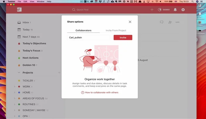 Condividi il progetto inserendo l'indirizzo email del collaboratore.