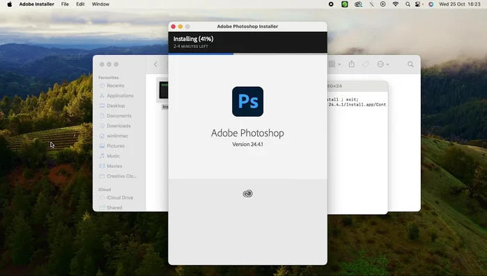 Fai clic su "Continua"