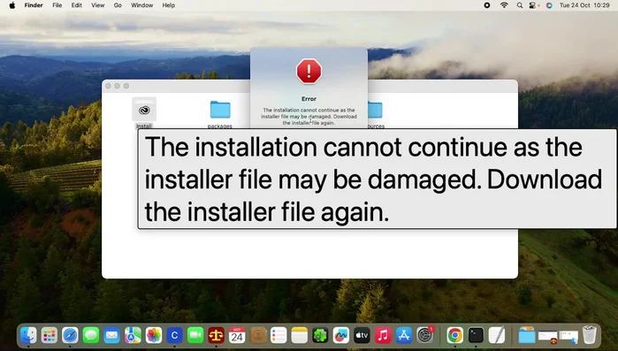 Fai clic di nuovo su "Apri"