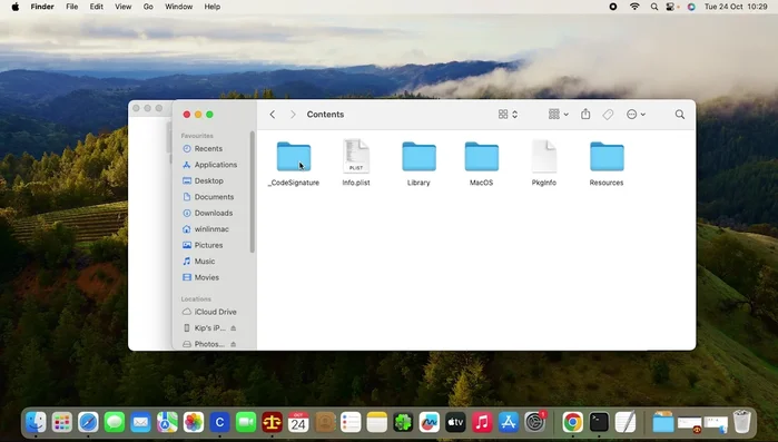 Fai clic di nuovo su "Apri"