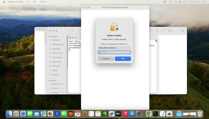 Fai clic su "Continua"