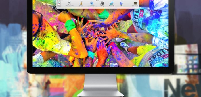 Avviare Onyx, selezionare "Internet" e poi cliccare "Esegui" per eliminare tutti i dati dei browser.