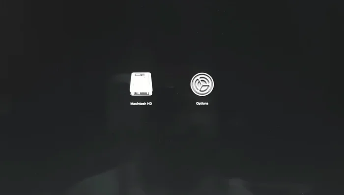 Premere il tasto Maiusc e fare clic sull'opzione "Continua in modalità provvisoria".