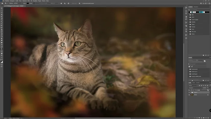 Regola l'opacità del gruppo per ottenere il risultato desiderato.