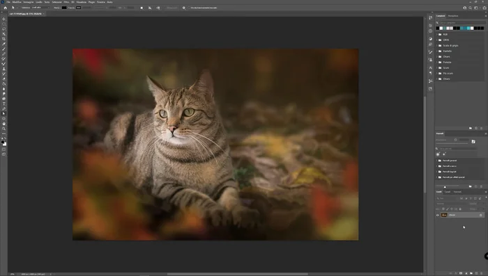 Triplica il livello dell'immagine. Rinomina i livelli: quello centrale come "normale", gli altri come preferisci.