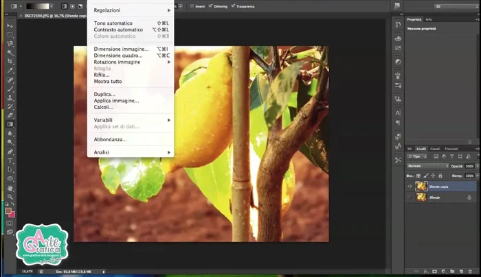 Aprire la finestra Curve (Immagine > Curve).