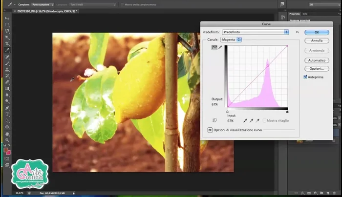 Regolare il canale Magenta per ridurre il rosso in eccesso, usando il contagocce per selezionare le aree da correggere e abbassando la curva.