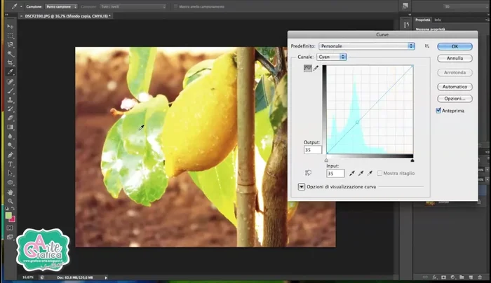 Regolare il canale Ciano per bilanciare i colori e evitare che l'immagine diventi troppo chiara. Aggiungere un po' di nero per scurire leggermente.