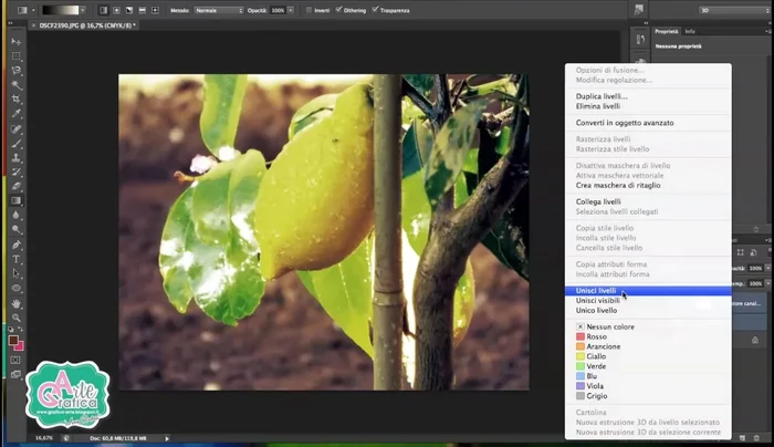 Confermare le modifiche e convertire in RGB (Immagine > Metodo > RGB).