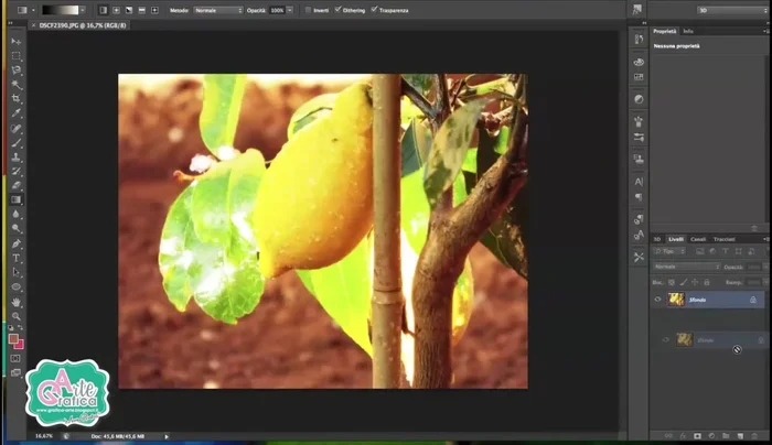 Duplicare la foto per preservare l'originale.