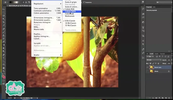 Andare su Immagine > Metodo > CMYK.