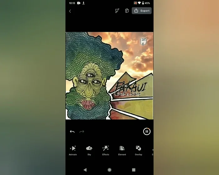 Esporta l'immagine animata come GIF o video e importala in Video Guru.