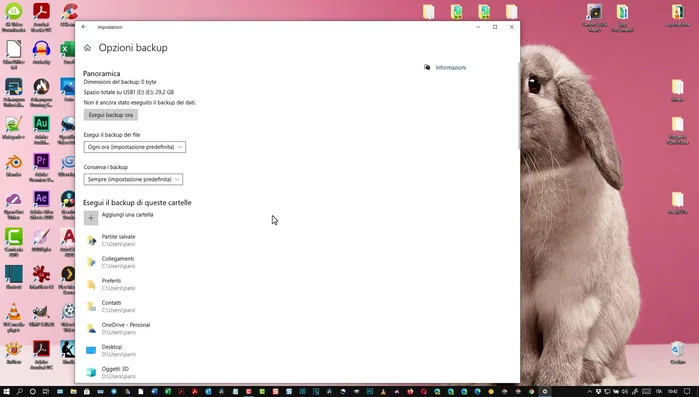 Selezionare le cartelle di cui si desidera eseguire il backup. È possibile selezionare singole cartelle o intere raccolte (es. Documenti, Immagini).