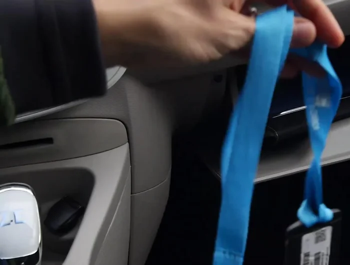 Confermare la fine del noleggio tramite l'app.