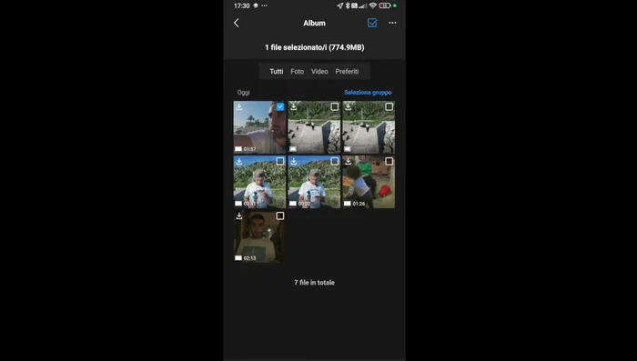 Per scaricare più file contemporaneamente, selezionare i file desiderati con la spunta blu.