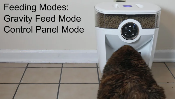 Utilizzare il pannello di controllo per programmare da 1 a 4 pasti al giorno, con porzioni da 1/4 di tazza a 1 tazza.