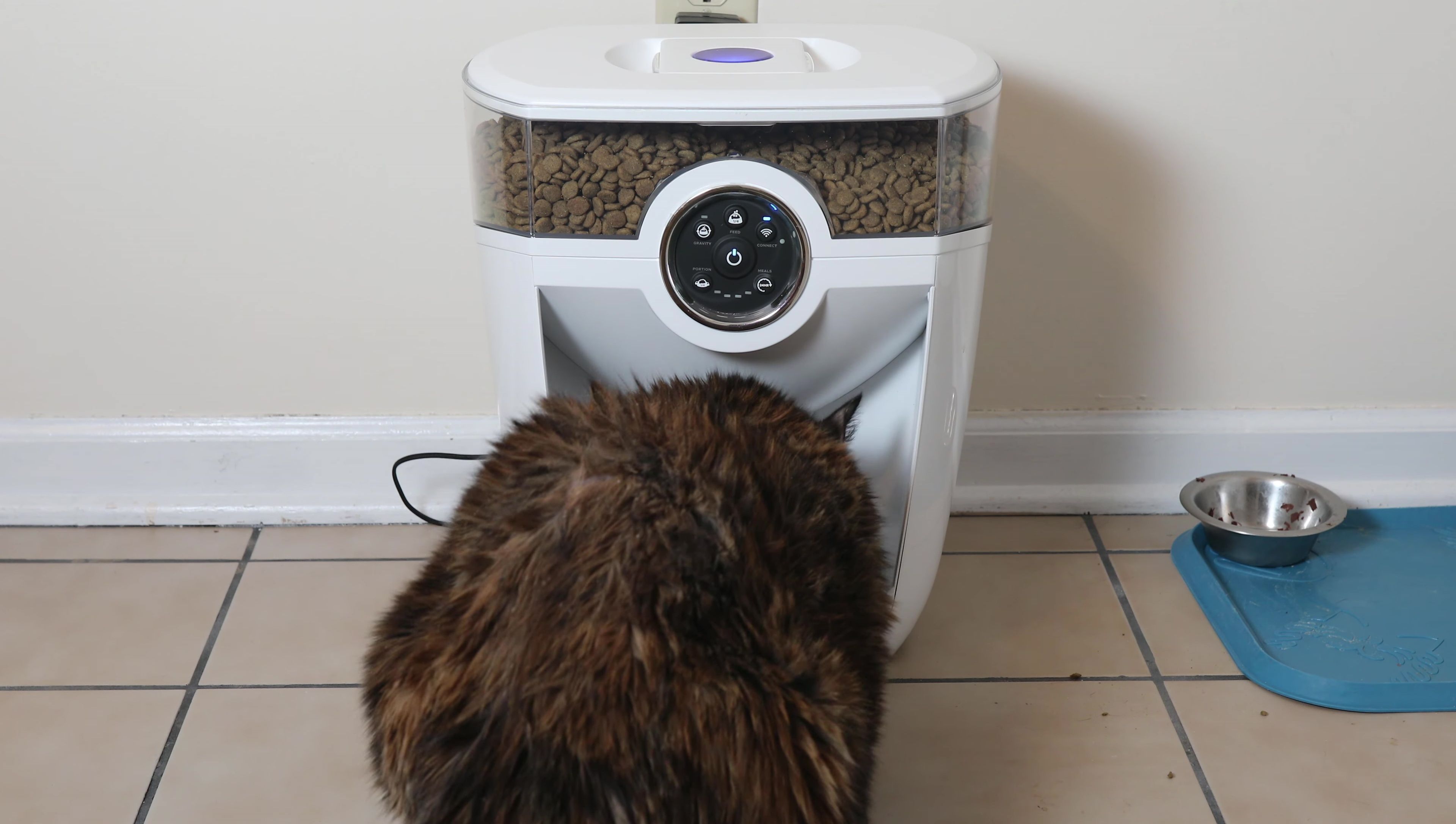 Recensione Auto Pets Robot Alimentatore: Guida Completa all'Alimentazione Intelligente del tuo Pet