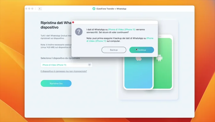 Utilizza il pulsante 'Ripristina ora' per ripristinare il backup sul dispositivo.