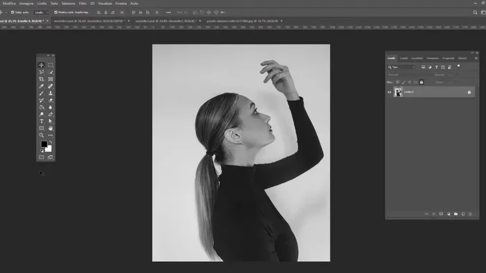 Aprire le due immagini: una con soggetto ben definito su sfondo neutro e ravvicinato all'obiettivo, l'altra un paesaggio o un altro soggetto.