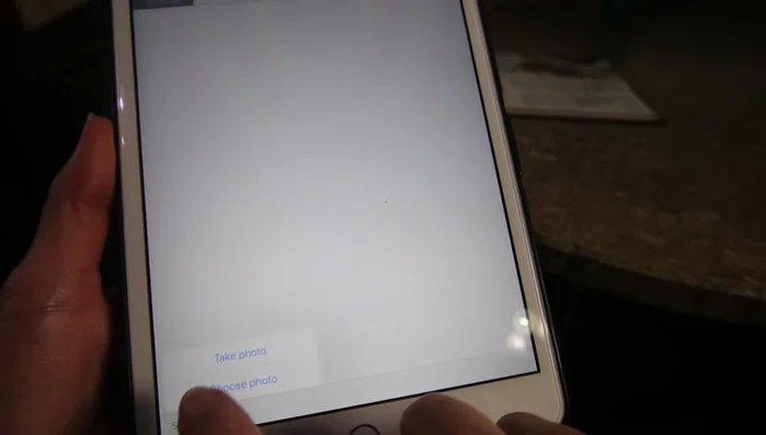 Utilizzare la funzione di scansione per ingredienti e istruzioni.