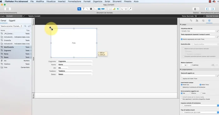 Formattazione del testo: selezionare gli oggetti e utilizzare le opzioni di formattazione per modificare caratteri, ecc.