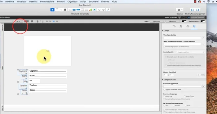 Formattazione del testo: selezionare gli oggetti e utilizzare le opzioni di formattazione per modificare caratteri, ecc.