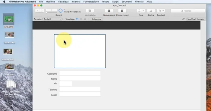 Utilizzo di menu a tendina: per il campo 'Sesso', cambiare lo stile del campo in 'Elenco a discesa' e definire le opzioni nell'elenco dei valori.