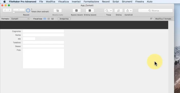 Definizione dei campi e della tabella.