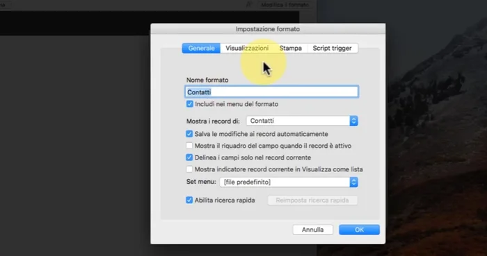 Modifica visualizzazione: doppio clic sul formato, selezionare 'Visualizzazione' e disattivare le visualizzazioni 'Lista' e 'Tabella' se non necessarie.