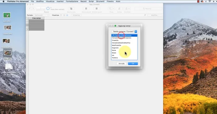 Selezione dei campi per la tabella: scegliere i campi da visualizzare nella tabella.