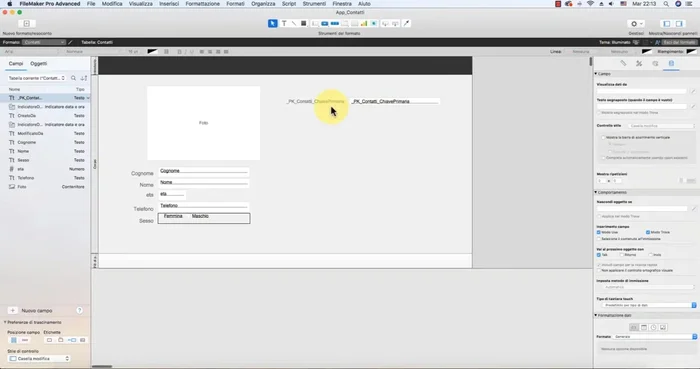 Disabilitazione della modifica del campo chiave primaria: nella modalità 'Modifica formato', disabilitare 'Modo Usa' per il campo chiave primaria per impedire modifiche indesiderate dall'utente.
