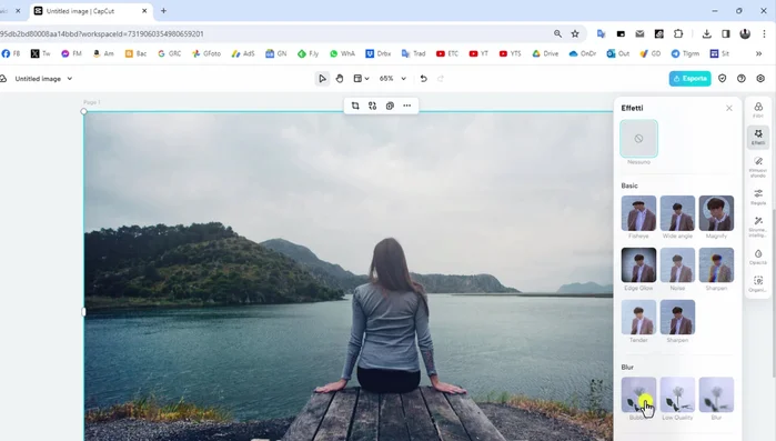 Esportare l'immagine.