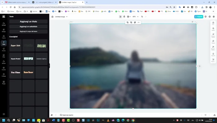 Importare nuovamente l'immagine originale e posizionarla sopra quella sfocata.