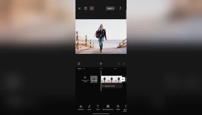 Esportare l'immagine.