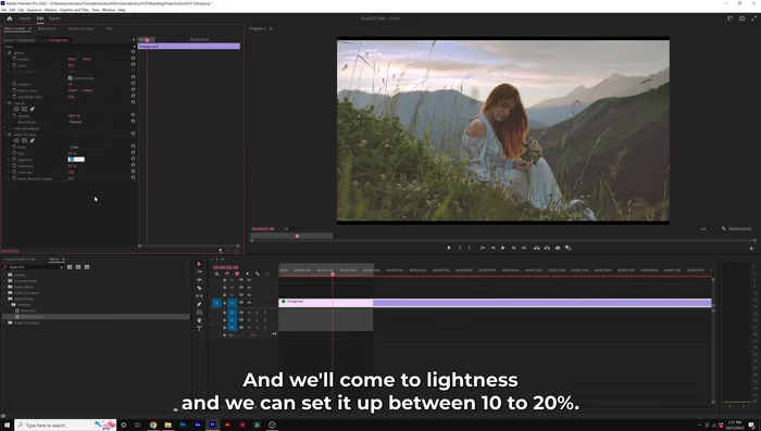 Regola (opzionale) la tonalità e la saturazione, ma la luminosità è l'impostazione più efficace per la grana.