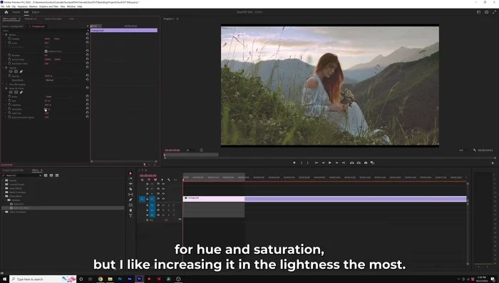 Regola (opzionale) la tonalità e la saturazione, ma la luminosità è l'impostazione più efficace per la grana.